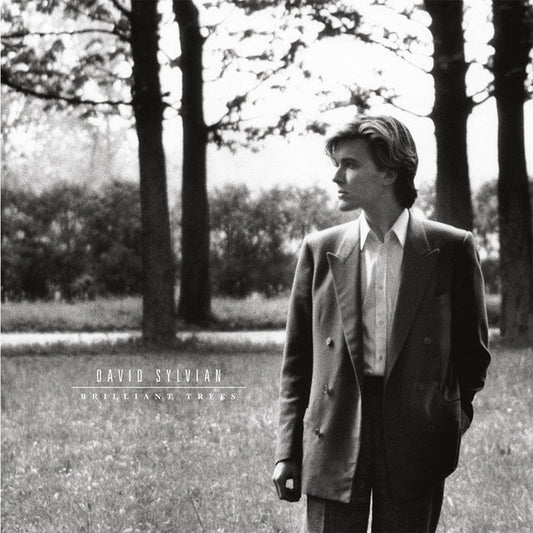 Image of Front Cover of LP - VG+/VG+ - DAVID SYLVIAN, Brilliant Trees (Virgin EMI Records; INTGDS00036LP, Europe 2025 Reissue, Gatefold, Inner, 180 Gram Corona Olive Opaque Vinyl), Sleeve still in hype stickered shrinkwrap,  - 1716432C