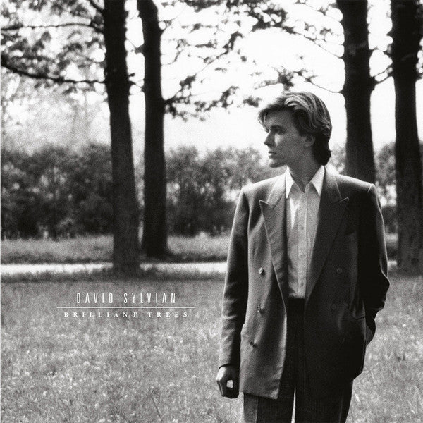 Image of Front Cover of LP - VG+/VG+ - DAVID SYLVIAN, Brilliant Trees (Virgin EMI Records; INTGDS00036LP, Europe 2025 Reissue, Gatefold, Inner, 180 Gram Corona Olive Opaque Vinyl), Sleeve still in hype stickered shrinkwrap,  - 1716432C