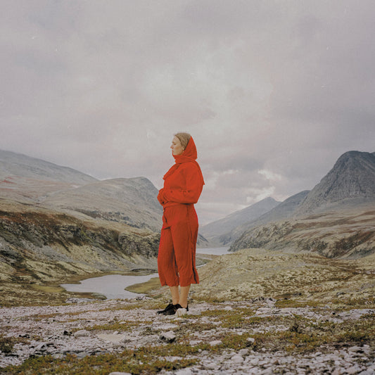 Image of Front Cover of LP - NEW/NEW - JUNI HABEL, Evergreen In Your Mind (Basin Rocks; BR025LP, UK 2026), , A beautifully intimate folk-pop album built around delicate songwriting, warm analogue textures and understated arrangements. Ideal for customers who gravitate towards thoughtful, emotionally resonant records with long shelf life and strong word-of-mouth potential. - 1716644C