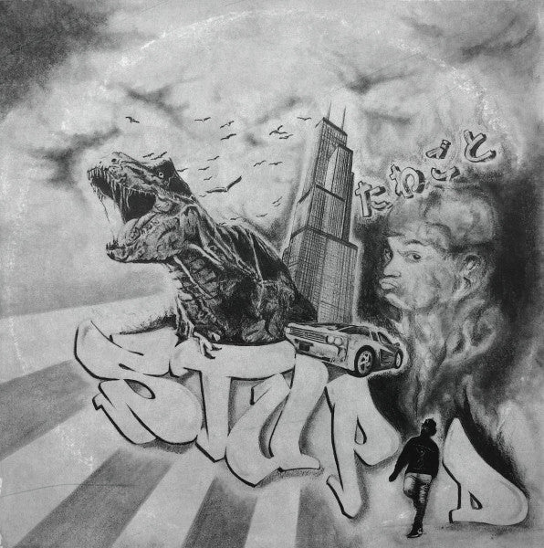 Image of Front Cover of LP - VG+/VG+ - VIC SPENCER, Stupid (Daupe!; DM-SP-045, UK 2019, Limited Edition, Numbered), No. 040/125,  - 1846066S
