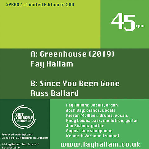 Image of Back Cover of 7" - VG+/EX - THE FAY HALLAM GROUP, Greenhouse (Suit Yourself Records ; SYR002, UK 2019, Picture Sleeve), ,  - 1826278E