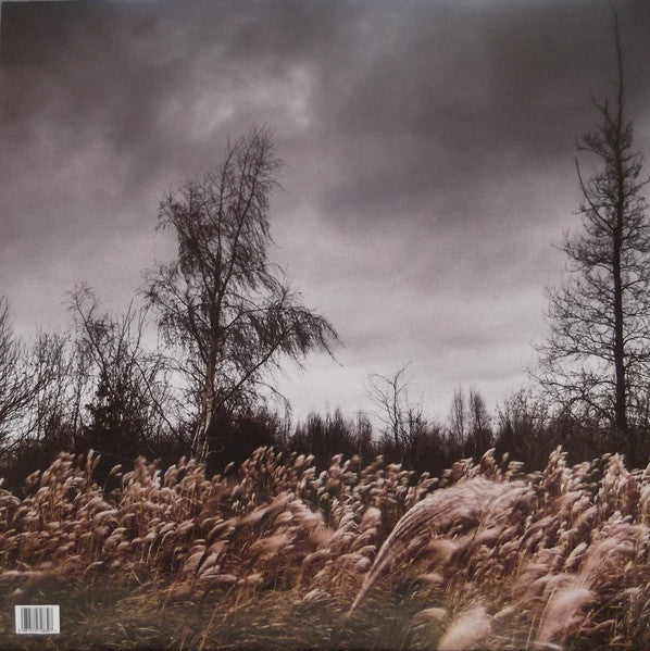 Image of Back Cover of LP - VG+/VG+ - WIEGEDOOD, De Doden Hebben Het Goed (Consouling Sounds; SOUL0051, Belgium 2016 Reissue, Gatefold, Insert, Silver Vinyl, Fourth pressing, Ltd to 300), Light wear on edge of Insert,  - 1946027S