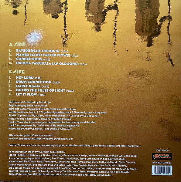Image of Back Cover of LP - VG+/VG+ - DAVID LYN, The World I Hear ((Essence Of Life) (Music Without Labels; MWL LP00124, UK 2024), Strong VG+,  - 1946104S