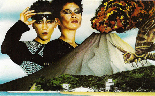 Image of Front Cover of Cassette - VG+/VG+ - FRANK CHICKENS, We Are Frank Chickens (Kaz Records; KAZ MC 2, UK 1984), ,  - 1836130E