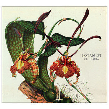 Image of Front Cover of CD - VG+/VG+ - BOTANIST, VI: Flora (Flenser Records; FR46, US 2014, Gatefold Card Sleeve, Booklet), ,  - 1916373C