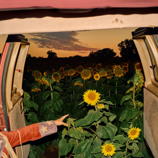 Image of Front Cover of 2xLP - NEW/NEW - KEVIN MORBY, Little Wide Open (Dead Oceans; DOC391LP-C1-V1, Europe 2026, Standard Sleeve, Indie Exclusive Eco Mix Vinyl + Signed Insert), , Little Wide Open is the title of Kevin Morby s eighth studio album, produced by Aaron Dessner. In the summer of 2024, Dessner had asked Morby to support The National at their London show in Crystal Palace Park. Shortly after, Dessner who was on a hot streak, having produced albums for Taylor Swift, Ed Sheeran, and Gracie Abrams r