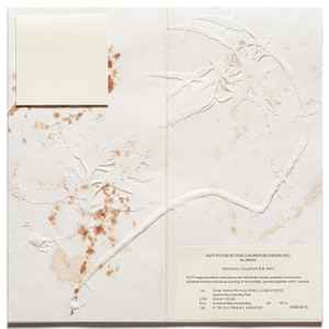 Image of Front Cover of LP - VG+/VG+ - THE DEVIL, PROBABLY, The Devil, Probably (Urpa i musell; UiM 008, Spain 2023), ,  - 2046097S