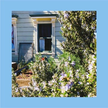 Image of Front Cover of LP - VG+/VG+ - THE REDS, PINKS AND PURPLES, Anxiety Art (; TLV144LP, US 2021 Reissue, Inner, Pastel Blue Vinyl, Ltd Ed. 1000), ,  - 2026323E