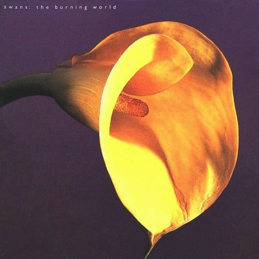 Image of Front Cover of LP - VG/VG - SWANS, The Burning World (1972; if26, US 2014 Reissue, Inner, 180 Gram Vinyl), Scuffs, seam split on inner, ring wear,  - 2146016S