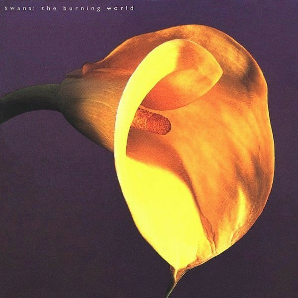 Image of Front Cover of LP - VG/VG - SWANS, The Burning World (1972; if26, US 2014 Reissue, Inner, 180 Gram Vinyl), Scuffs, seam split on inner, ring wear,  - 2146016S
