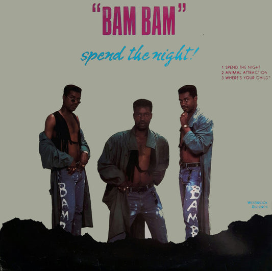 Image of Front Cover of 12" - VG+/VG - BAM BAM, Spend The Night! (Westbrook Records; BB-WB-107, US 1988, Picture Sleeve), ,  - 2146048S