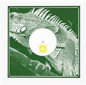 Image of Back Cover of 12" - VG/VG - FEEL FREE HI FI, EQUIKNOXX, Equiknoxx Meets Feel Free Hi Fi (Digital Sting; DS002, US 2021, Stamped White Label, Stickered Die Cut Picture Sleeve), Light hairlines only. Slight discolouration to sleeve.,  - 2116159C