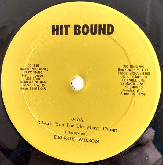 Image of Front Cover of 12" - /VG+ - DELROY WILSON, Thank You For The Many Things / Peculiar (Hit Bound; 040, US 1980), ,  - 2146174S