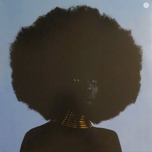 Image of Front Cover of 12" EP - VG+/VG+ - SUDAN ARCHIVES, Sink (Stones Throw Records; STH2399, 	 Reissue), ,  - 2116429C
