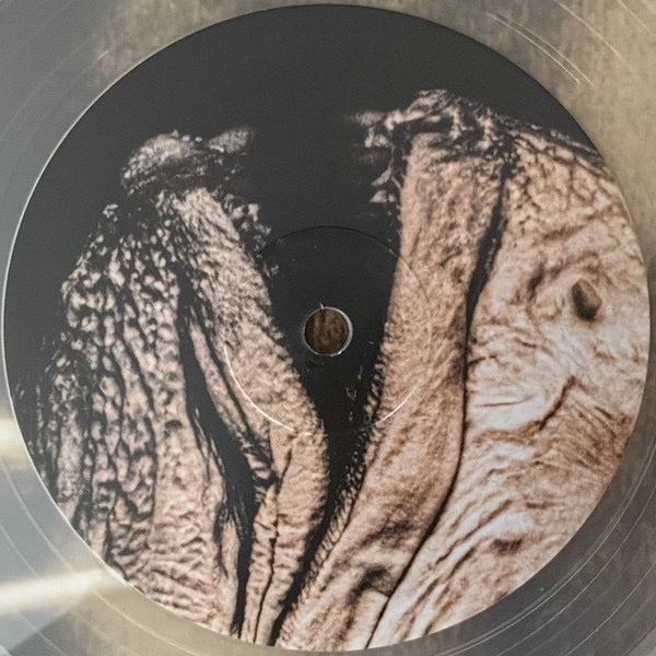 Image of Label Cover of 2xLP - NEW/NEW - PIXIES, Complete B Sides: 1988-97 (Remastered) (4AD; 4AD0878LPE, Europe 2026, 2 Inners, Crystal Clear Vinyl), , For Complete B-Sides: 1988-97, all the tracks have been remastered from their original analogue tapes by Kevin Vanbergen - sounding amazingly fresh, it completes his extensive remastering work across the band s catalogue. With the original tracklisting neatly fitting across 3 sides of vinyl, a fourth side of bonus live tracks has also been added, featuring 