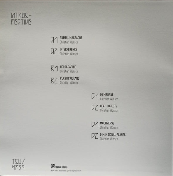 Image of Back Cover of 2xLP - VG/VG+ - CHRISTIAN W NSCH, Introspective (Tsunami Records; TSU04789, Netherlands 2020, Clear Vinyl), Edge Wear,  - 2246095S