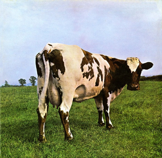 Image of Front Cover of LP - VG/G - THE PINK FLOYD, Atom Heart Mother (Harvest Labels With EMI Box & Pink Floyd Music Publ./Lupus Music Creidit On Both Sides ; SHVL 781, UK 1977 Reissue, Gatefold), Light marks and surface scuffs,  - 2216079C
