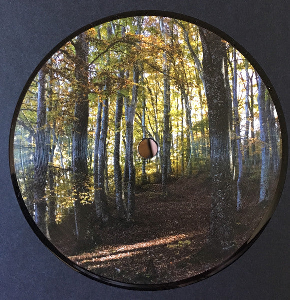 Image of Back Cover of 12" - /VG+ - WEIGHTLESS, See You Soon Bro (Burbi; BRB04, Italy 2018, Plain Sleeve), ,  - 2226204E