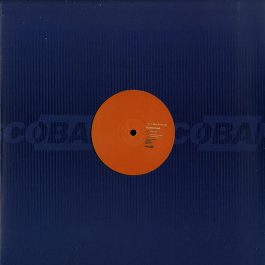 Image of Front Cover of 12" - VG+/VG+ - ROBIN ORDELL, Lost In Misty Byways EP (Discobar; Discobar 07, France 2017, Company Sleeve), ,  - 2226303E