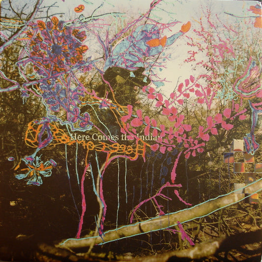 Image of Front Cover of LP - VG+/VG+ - ANIMAL COLLECTIVE, Here Comes The Indian (Paw Tracks; paw1, US 2003, Poster), ,  - 2246325S