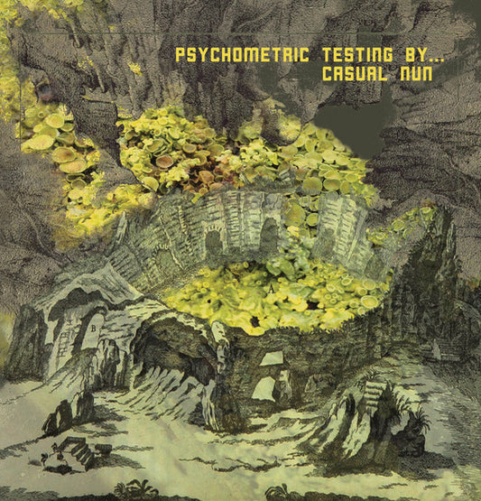Image of Front Cover of LP - EX/EX - CASUAL NUN, Psychometric Testing By... (Box Records; BOXREC023, UK 2017, Ltd to 300), Opened Instore, Still In Shrinkwrap,  - 2346003S
