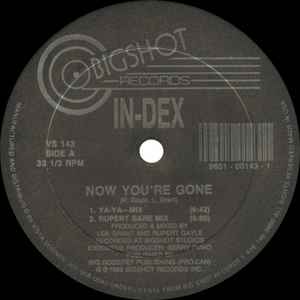 Image of Front Cover of 12" - /VG+ - IN-DEX, Now You're Gone (Bigshot Records; VS 143, USA & Canada 1989), ,  - 2346036S