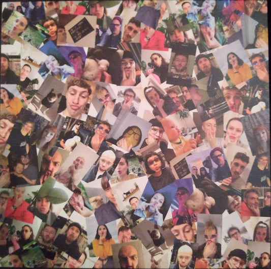 Image of Front Cover of 12" - VG+/VG+ - BLAWAN, Make A Goose EP (Ternesc ; TESC 008, UK 2021, Picture Sleeve), ,  - 2346050S