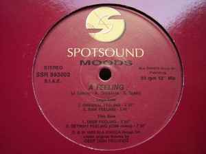 Image of Front Cover of 12" - /VG - MOODS, A Feeling (Spotsound Records ; SSR 993002, Italy 1993), light marks only,  - 2346094S