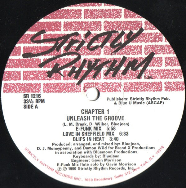 Image of Front Cover of 12" - /VG+ - CHAPTER 1, Unleash The Groove (Strictly Rhythm ; SR 1216, US 1990), ,  - 2346104S