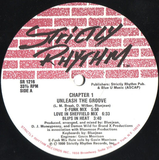 Image of Front Cover of 12" - /VG+ - CHAPTER 1, Unleash The Groove (Strictly Rhythm ; SR 1216, US 1990), ,  - 2346104S