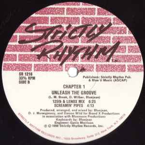 Image of Back Cover of 12" - /VG+ - CHAPTER 1, Unleash The Groove (Strictly Rhythm ; SR 1216, US 1990), ,  - 2346104S