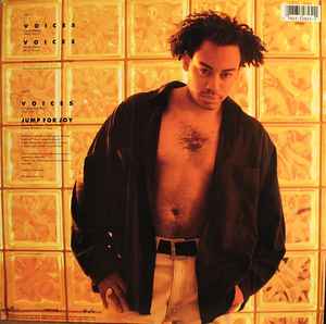 Image of Back Cover of 12" - VG/VG - KC FLIGHTT, Voices (RCA ; 2825-1-RD, US 1991, Picture Sleeve), light marks only. signs of wear to sleeve - creasing and edge wear. sticker top left front,  - 2346127S