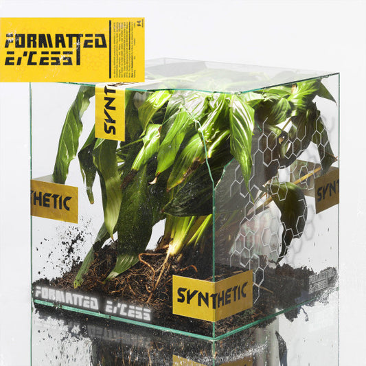 Image of Front Cover of LP - EX/EX - NXXXXXS, Formatted Excess (The state51 Conspiracy; , UK 2019, Limited Edition), ,  - 2346266S