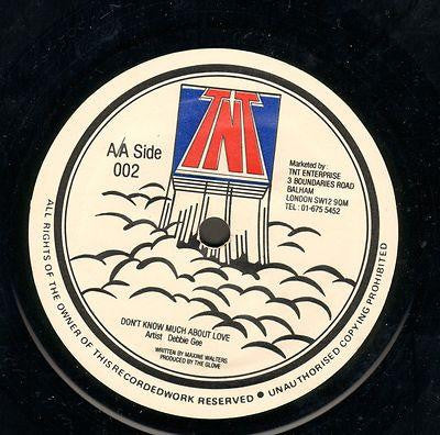 Image of Front Cover of 12" - /G+ - DEBBIE GEE, Falling In Love / Don't Know Much About Love (TNT Enterprise; 002, UK 1980s), Marks and scuffs, plays nice VG or better. Clean labels.,  - 2316421C