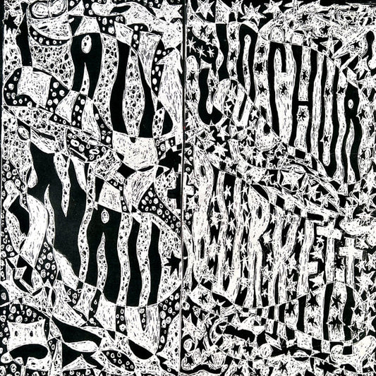 Image of Front Cover of CD - VG+/VG+ - LAU NAU, JOSHUA BURKETT, ~ (AKTI Records; ARPH-0010, Finland 2025, Digipak, One of 200 copies), ,  - 2336011E