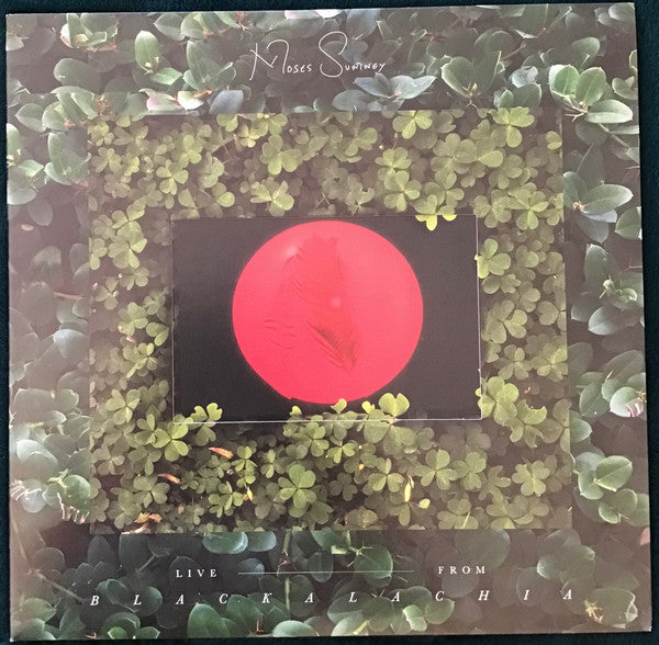 Image of Front Cover of 2xLP - VG+/VG+ - MOSES SUMNEY, Live From Blackalachia (Jagjaguwar; MS001, US 2021, Die Cut Triple Gatefold, 2 Inners, 6 Prints, Clear Green Vinyl), ,  - 2546018S