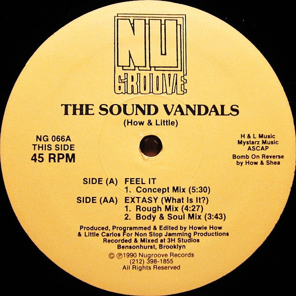 Image of Front Cover of 12" - /G+ - THE SOUND VANDALS, Feel It / Extasy (What Is It?) (Nu Groove Records ; NG 066, US 1990, Plain Sleeve), Light Marks only., A1	Feel It (Concept Mix)	AA1	Extasy (What Is It?) (Rough Mix)	AA2	Extasy (What Is It?) (Body & Soul Mix) - 2526420E