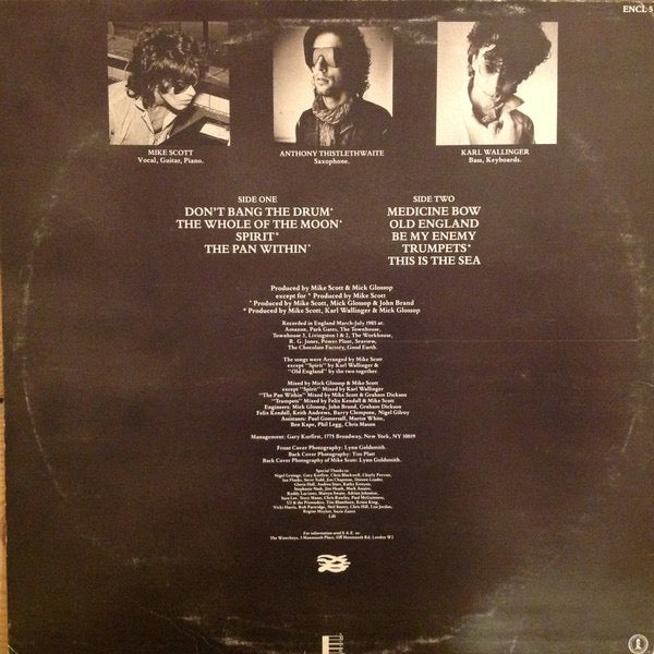 Image of Back Cover of LP - VG/VG - THE WATERBOYS, This Is The Sea (Ensign; ENCL 5, Scandinavia 1985), ,  - 2616176C