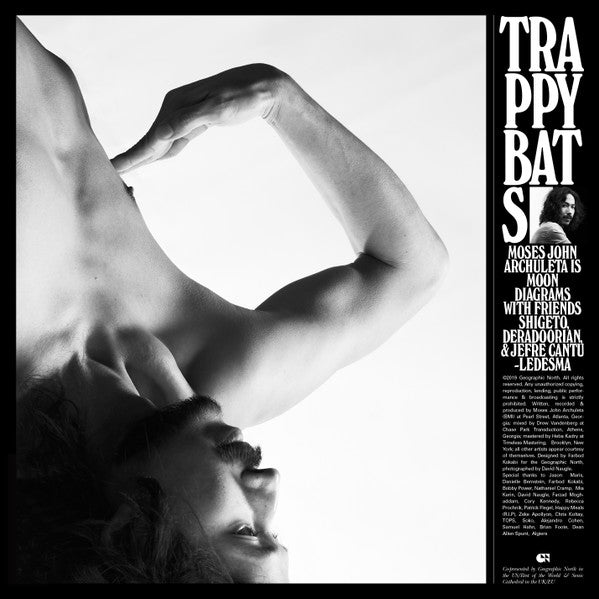 Image of Front Cover of LP - VG+/VG+ - MOON DIAGRAMS, Trappy Bats (Geographic North; GN54, US 2019, Limited Edition, Purple / Black Split), ,  - 2646208S