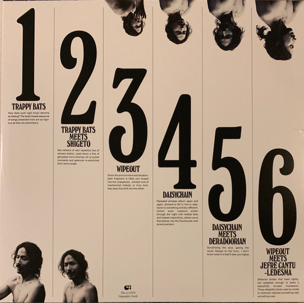 Image of Back Cover of LP - VG+/VG+ - MOON DIAGRAMS, Trappy Bats (Geographic North; GN54, US 2019, Limited Edition, Purple / Black Split), ,  - 2646208S
