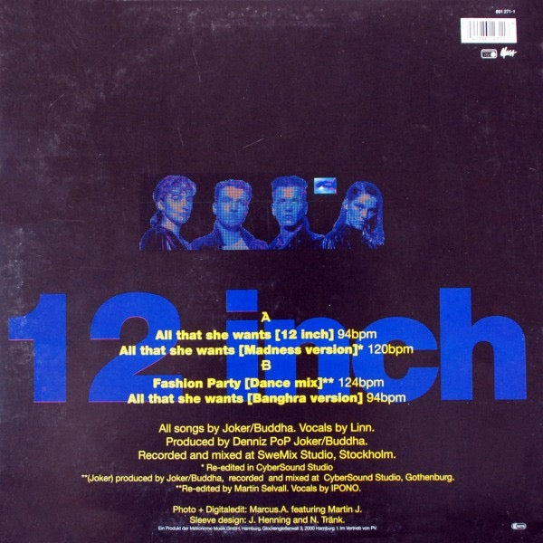 Image of Back Cover of 12" - VG/VG - ACE OF BASE, All That She Wants (Metronome; 861 271-1, UK 1993, Picture Sleeve), ,  - 2616413C