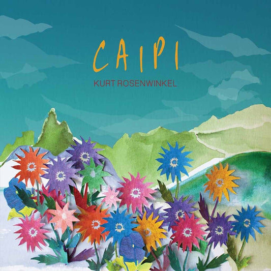 Image of Front Cover of LP - VG+/VG+ - KURT ROSENWINKEL, Caipi (Razdaz Recordz; RD4618, Europe 2016, Picture Sleeve), ,  - 2726024E