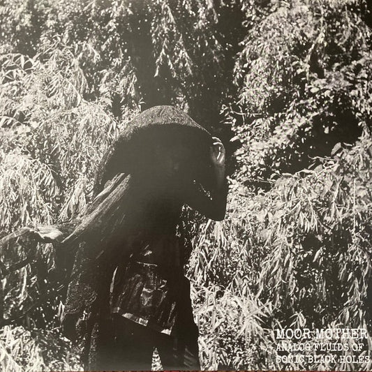 Image of Front Cover of LP - VG+/VG+ - MOOR MOTHER, Analog Fluids Of Sonic Black Holes (Don Giovanni Records; DG-190, US 2019, Stickered Plastic Sleeve, Insert), ,  - 2716036C