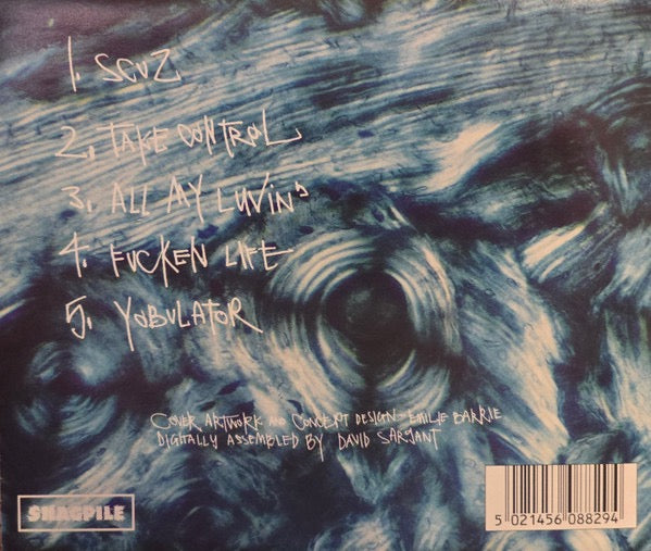 Image of Label Cover of CD - VG+/ - BEANFLIPPER, Rodent Ulcer (Shagpile; SHAGCD7024, Australia 1996, Jewel Case), ,  - 2736030E