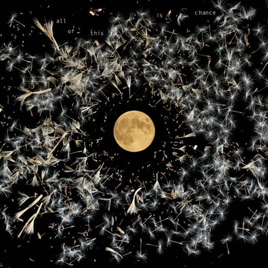 Image of Front Cover of LP - NEW/NEW - LISA O'NEILL, All Of This Is Chance (Rough Trade; RT0356 LP, UK & Europe 2023, Inner, Poster, Limited Edition, Silver Vinyl), ,  - 2736059E