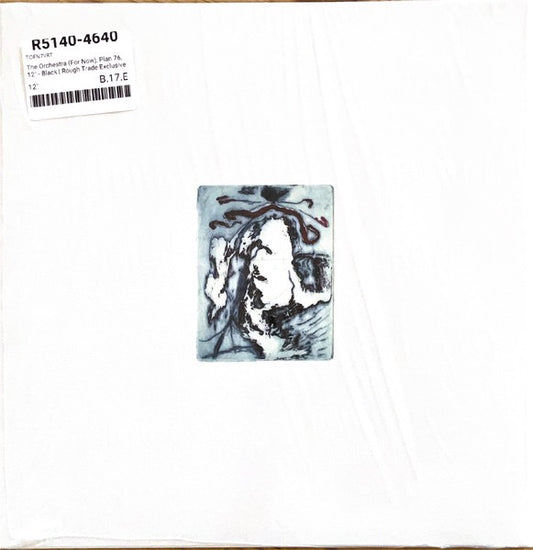 Image of Front Cover of 12" EP - NEW/NEW - THE ORCHESTRA (FOR NOW), Plan 76 (Not On Label; TOFN7VRT, UK 2025, Variant Cover, Limited Edition of 250), , B3 is a vinyl-only bonus track and not listed on the release. - 2736063E