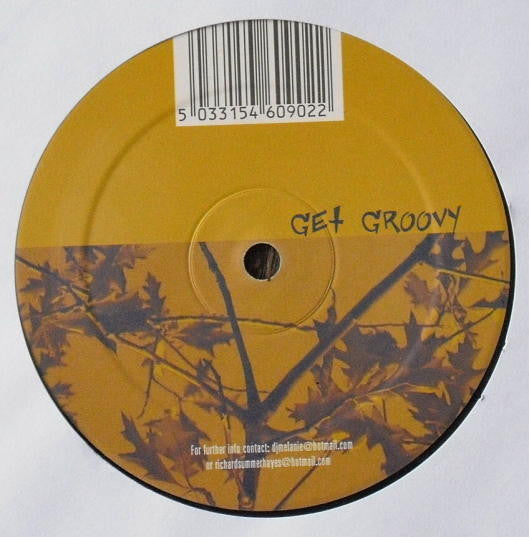 Image of Back Cover of 12" - VG/VG - VARIOUS, Deep In It - Sampler 2 (Get Groovy; GG 006-6, UK 2001, Company Sleeve), , A Solar House   Got 2 B YouProducer, Written-By   Calum WalkerB1 Swirl People   Problem ChildProducer, Written-By   Dimitri Dewever, Raoul BelmansB2 Pol Bunker   Hot! Hot!Producer, Written-By   Christophe Hermant, Philippe Mazure - 2726268E