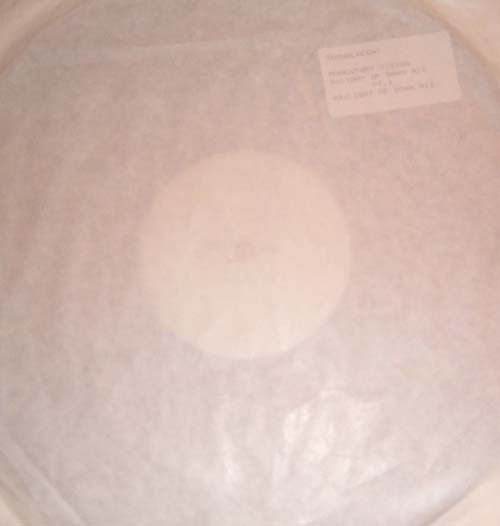 Image of Front Cover of 12" - /G - TRANSLUCENT, Momentary Vision (Jelly Jam Records; JJ 1, UK 1989, White Label), Extensive scuffs and marks across both sides of disc. Pen on label and blue stamp.,  - 2716381C