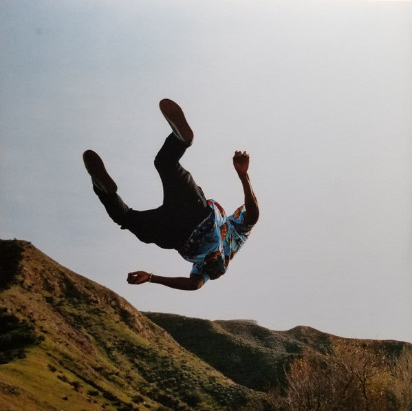Image of Back Cover of LP - VG+/VG+ - TYLER, THE CREATOR, Wolf (Odd Future Records; 88765493061, Europe 2014 Reissue, Gatefold, 2 Inners & Insert, Pink Translucent Vinyl, NO CD), ,  - 2746247S