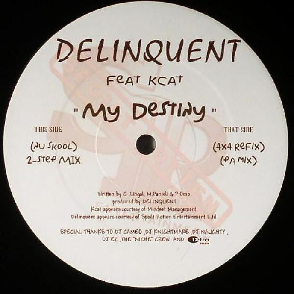 Image of Front Cover of 12" - /G+ - DELINQUENT, My Destiny (Spoilt Rotten Entertainment; SR009, UK 2006, Plain Sleeve), Scuffs and hairlines, plays well. Some light marks on label., A My Destiny (Nu Skool 2 Step Mix)B1 My Destiny (4x4 Refix)B2 My Destiny (PA Mix)Labels match SR008 from discogs, however matrix reads SR009.  - 2816004C